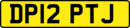 DP12PTJ