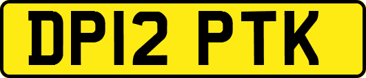 DP12PTK