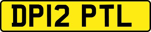 DP12PTL