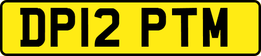 DP12PTM