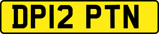 DP12PTN