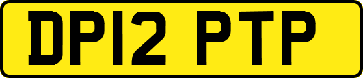 DP12PTP
