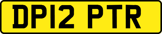 DP12PTR