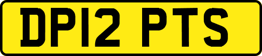 DP12PTS