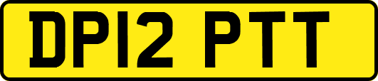 DP12PTT