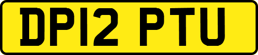 DP12PTU