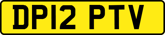 DP12PTV