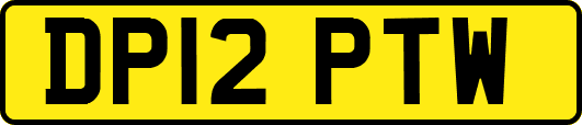 DP12PTW