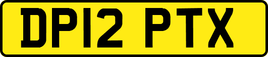 DP12PTX