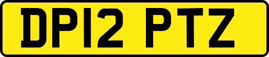 DP12PTZ