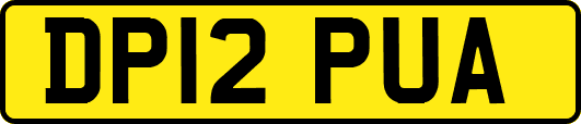 DP12PUA