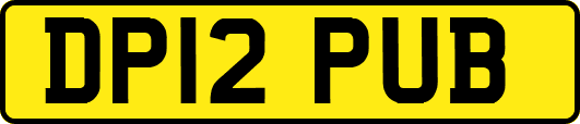 DP12PUB
