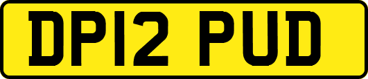 DP12PUD