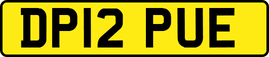 DP12PUE