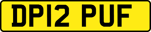 DP12PUF