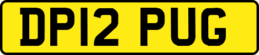 DP12PUG