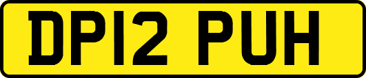 DP12PUH