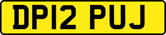 DP12PUJ