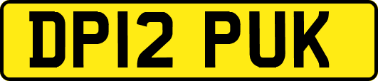 DP12PUK
