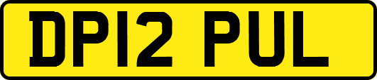 DP12PUL