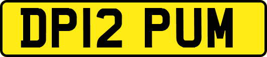 DP12PUM