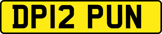 DP12PUN