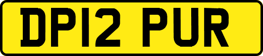 DP12PUR