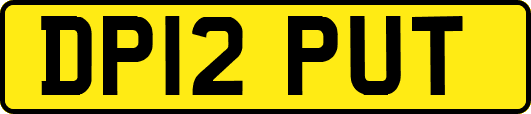 DP12PUT