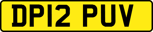 DP12PUV