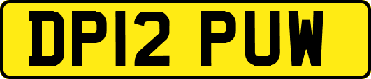DP12PUW