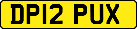 DP12PUX