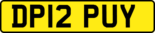 DP12PUY