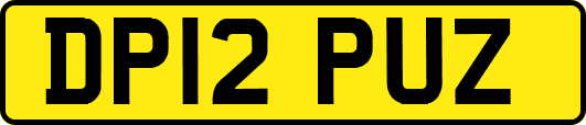 DP12PUZ