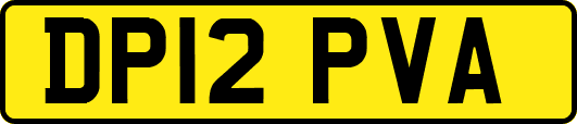 DP12PVA