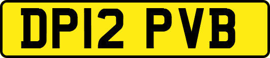 DP12PVB