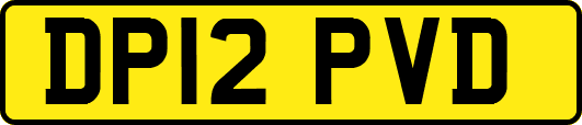 DP12PVD