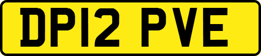 DP12PVE