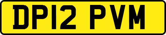DP12PVM