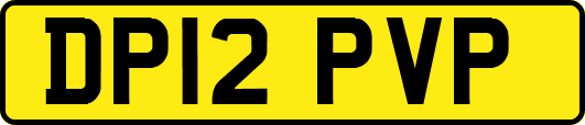 DP12PVP