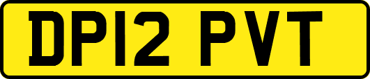 DP12PVT