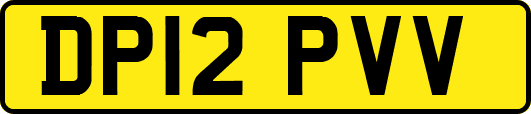 DP12PVV