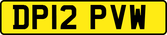 DP12PVW