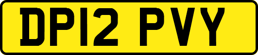DP12PVY