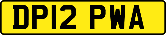 DP12PWA