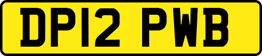 DP12PWB