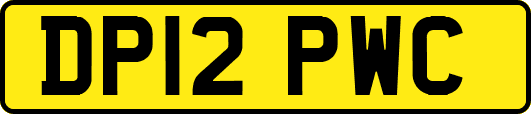DP12PWC
