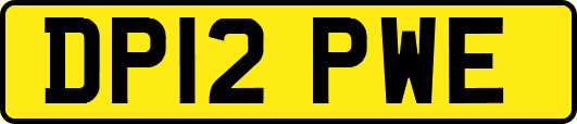 DP12PWE