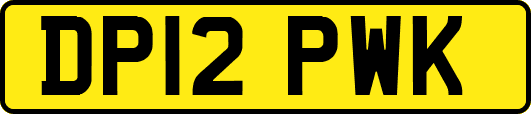 DP12PWK