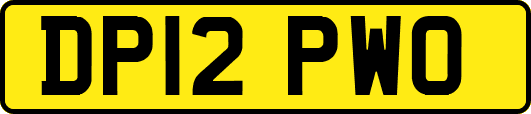 DP12PWO