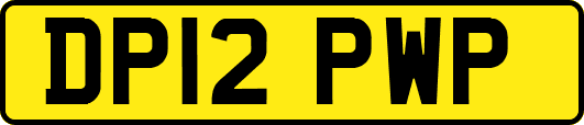 DP12PWP